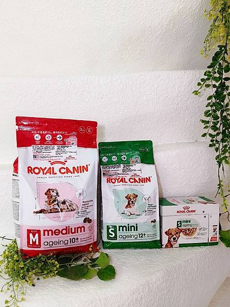毛孩愛吃開箱 老犬飼料推薦 法國皇家ROYAL CANI 毛孩愛吃開箱 老犬飼料推薦 法國皇家ROYAL CANI