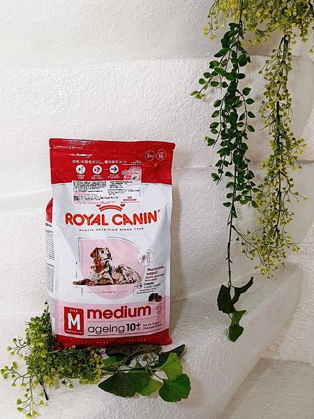 毛孩愛吃開箱 老犬飼料推薦 法國皇家ROYAL CANI 毛孩愛吃開箱 老犬飼料推薦 法國皇家ROYAL CANI