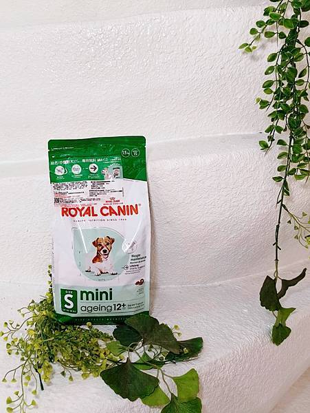 毛孩愛吃開箱 老犬飼料推薦 法國皇家ROYAL CANI 毛孩愛吃開箱 老犬飼料推薦 法國皇家ROYAL CANI