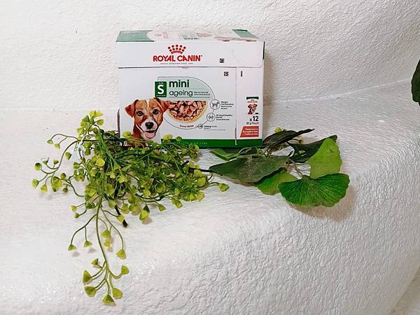 毛孩愛吃開箱 老犬飼料推薦 法國皇家ROYAL CANI 毛孩愛吃開箱 老犬飼料推薦 法國皇家ROYAL CANI