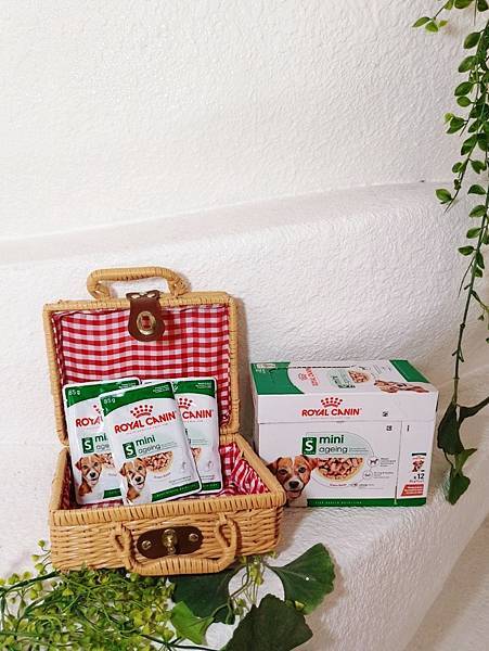 毛孩愛吃開箱 老犬飼料推薦 法國皇家ROYAL CANI 毛孩愛吃開箱 老犬飼料推薦 法國皇家ROYAL CANI