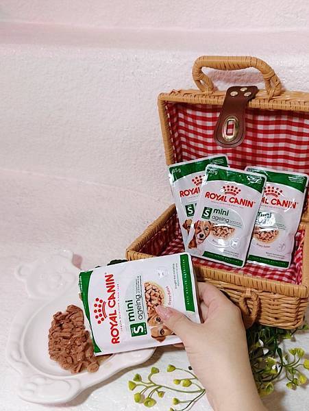 毛孩愛吃開箱 老犬飼料推薦 法國皇家ROYAL CANI 毛孩愛吃開箱 老犬飼料推薦 法國皇家ROYAL CANI