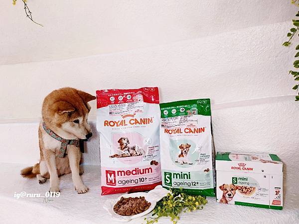 毛孩愛吃開箱 老犬飼料推薦 法國皇家ROYAL CANI 毛孩愛吃開箱 老犬飼料推薦 法國皇家ROYAL CANI