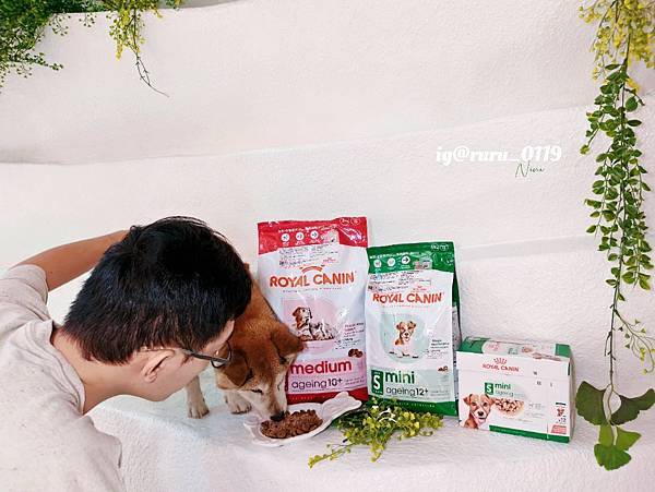 毛孩愛吃開箱 老犬飼料推薦 法國皇家ROYAL CANI 毛孩愛吃開箱 老犬飼料推薦 法國皇家ROYAL CANI