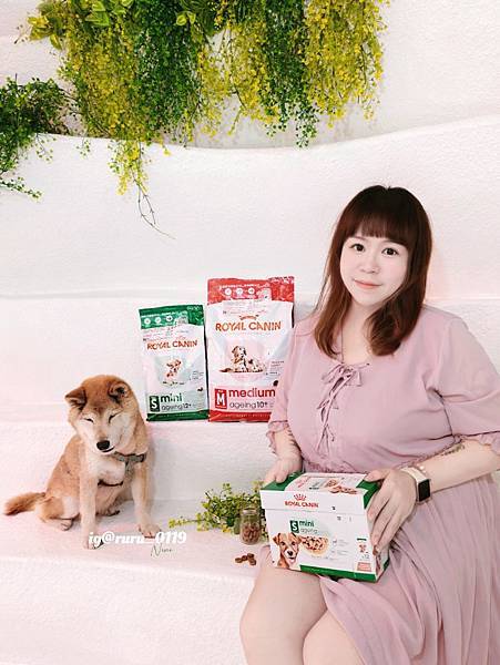 毛孩愛吃開箱 老犬飼料推薦 法國皇家ROYAL CANI 毛孩愛吃開箱 老犬飼料推薦 法國皇家ROYAL CANI