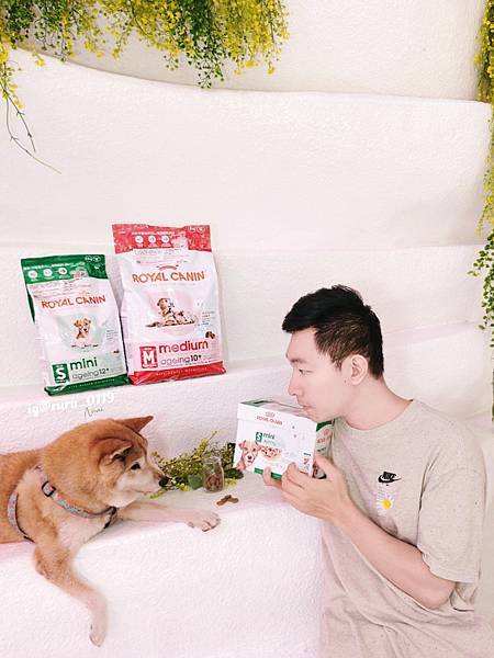 毛孩愛吃開箱 老犬飼料推薦 法國皇家ROYAL CANI 毛孩愛吃開箱 老犬飼料推薦 法國皇家ROYAL CANI