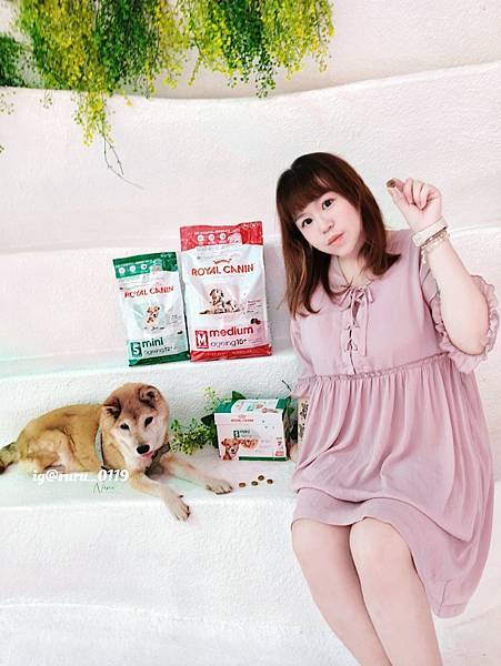 毛孩愛吃開箱 老犬飼料推薦 法國皇家ROYAL CANI 毛孩愛吃開箱 老犬飼料推薦 法國皇家ROYAL CANI