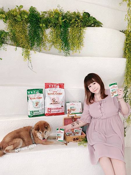 毛孩愛吃開箱 老犬飼料推薦 法國皇家ROYAL CANI 毛孩愛吃開箱 老犬飼料推薦 法國皇家ROYAL CANI