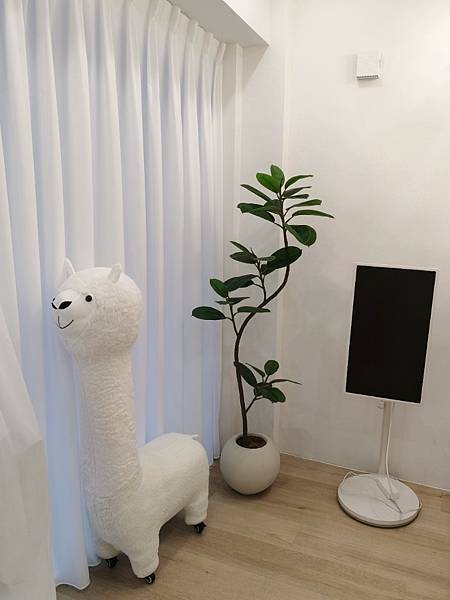 愛美 | 桃園紋髮推薦 FKB美學 正宗SMP韓式頭皮紋髮 