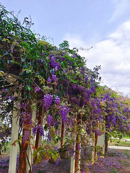 桃園美食 蘋果雞鹹酥雞 從南部開上來的炸物專門店 清爽脫