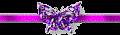 分隔線2.gif