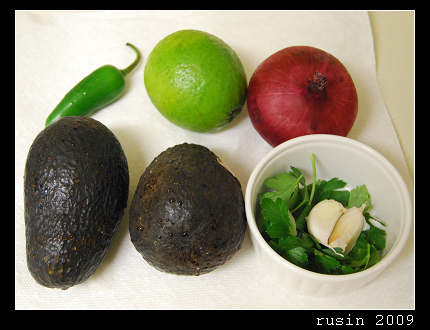 guacamole 2 guacamole 2