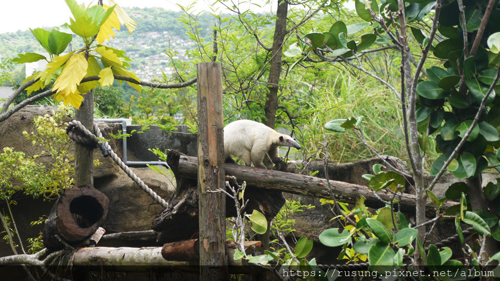 台北市立木柵動物園.jpg