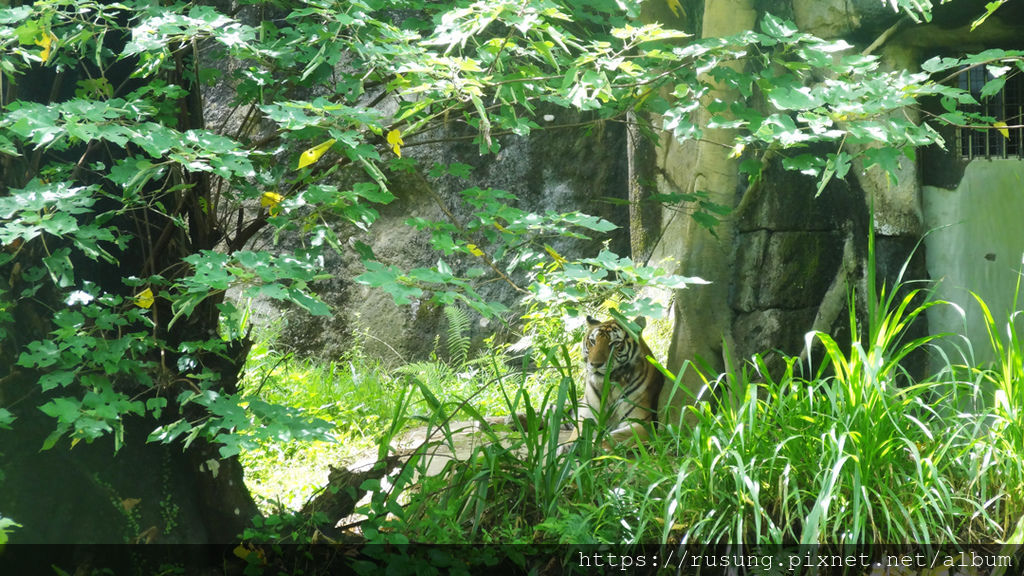 台北市立木柵動物園.jpg