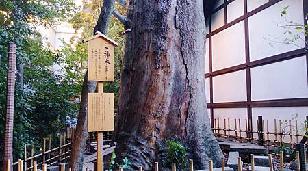 ２０１９冰川神社１１