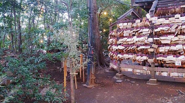 ２０１９冰川神社１５