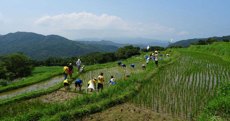 水梯田.png 水梯田.png