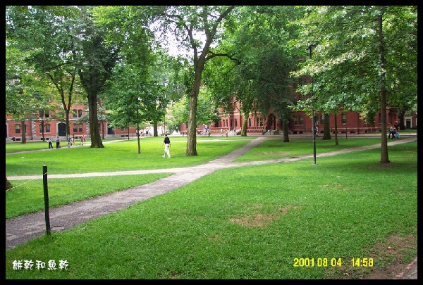 Harvard校園.jpg