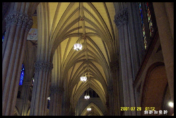 roof of St. Patrick's Cathedral.JPG