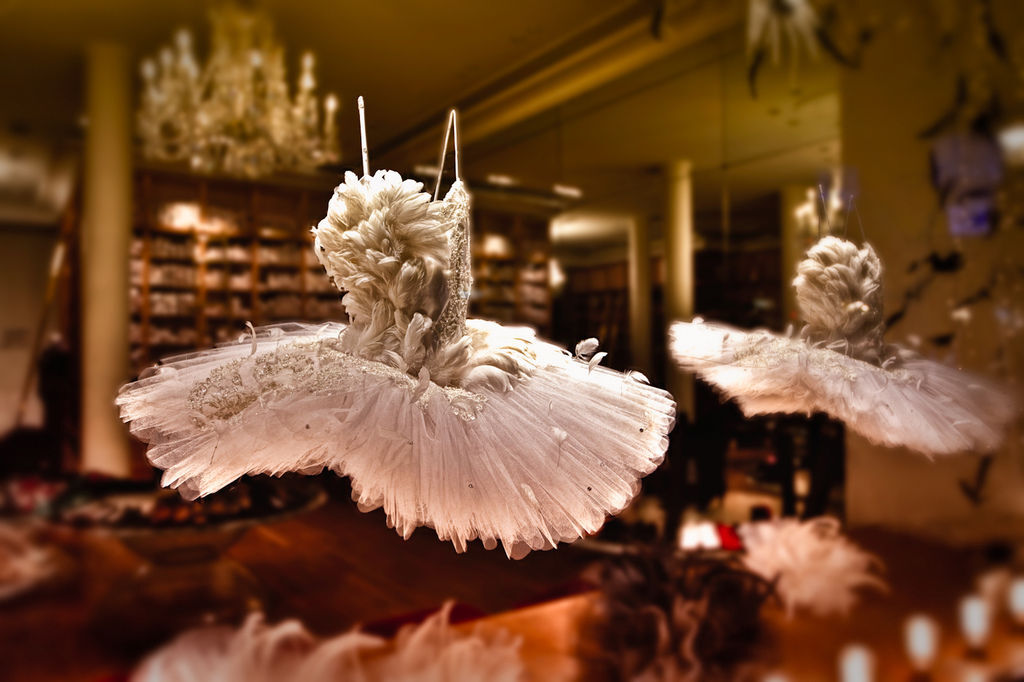 Repetto tutu 5.jpg Repetto tutu 5.jpg