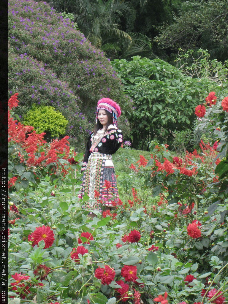 Lady in the garden Lady in the garden