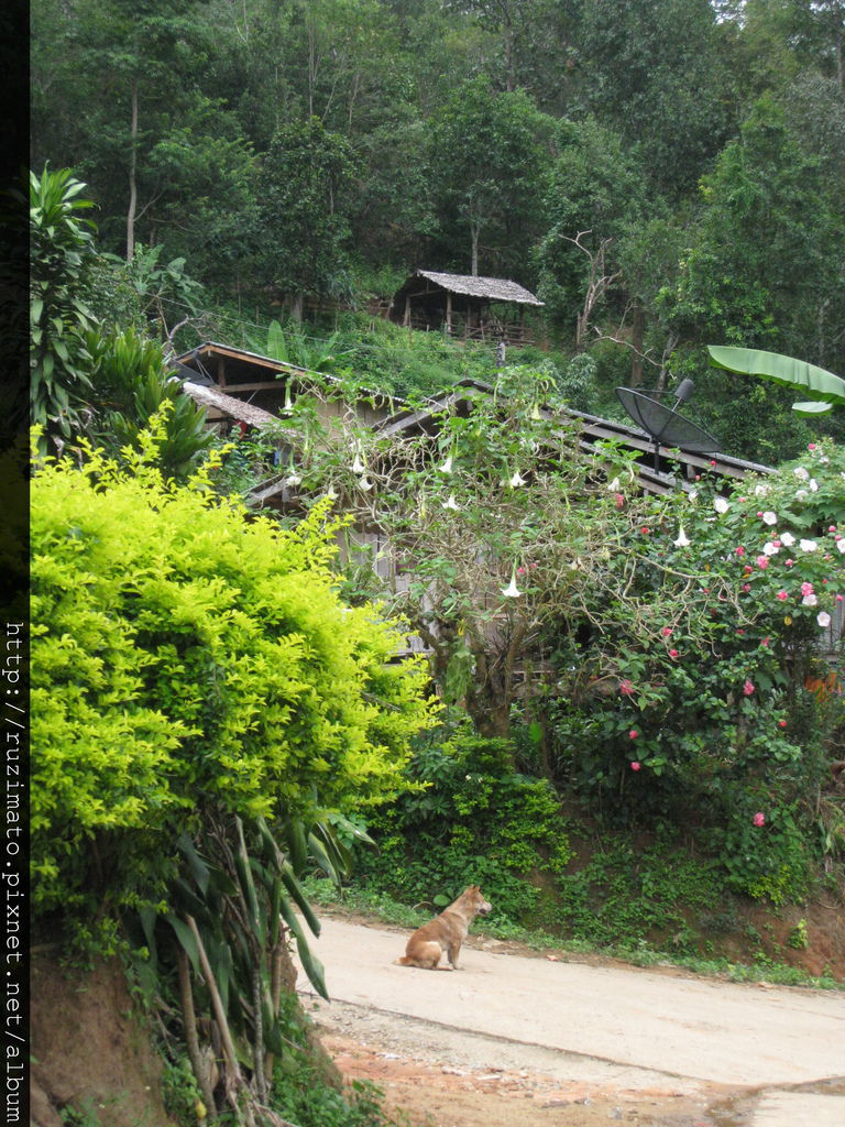 Karen tribe village Karen tribe village