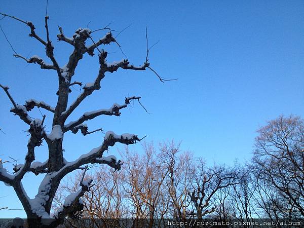 Winter Winter