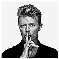 Bowie by Gavin Evans Shhhh