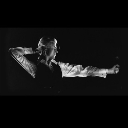 The thin white duke The thin white duke