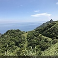 草山戰備道沿路風景