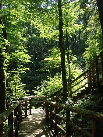 函館 青森自由行 青森玩樂篇 五能線之旅iii 白神山地十二湖散策 沸壺之池 十二湖庵 Ruz S Simple Life