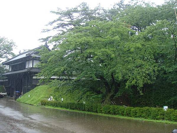 0714028-下大雨的弘前公園.JPG