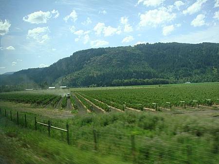 0713260- Okanagan Valley歐墾那根谷.JPG