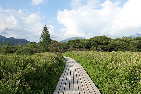 0724367-戰場原(粉色花園).JPG