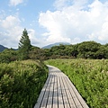 0724367-戰場原(粉色花園).JPG