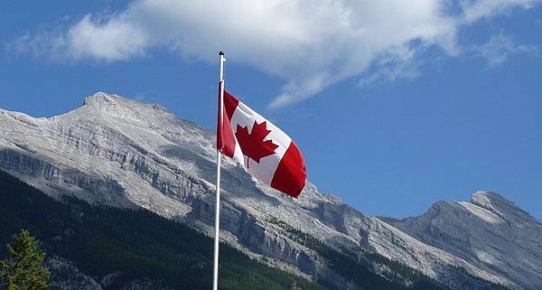 ia_100000001 ia_100000001