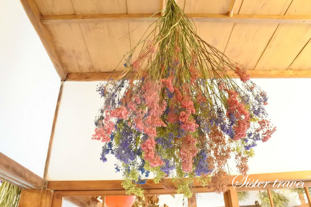 DSC_1198_meitu_66.jpg