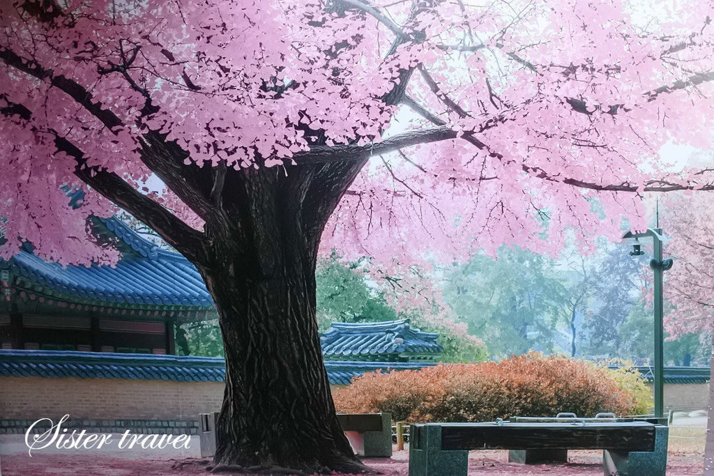 DSC_7068_meitu_31.jpg