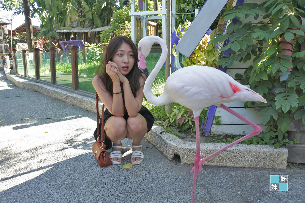 DSC_4501.bmp DSC_4501.bmp