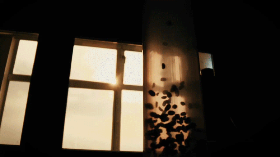 05gif