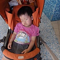 DSC00110.JPG