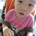 防走失條...還是要給他戴起來比較安全