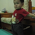 1Y2M19D