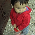 1Y3M17D