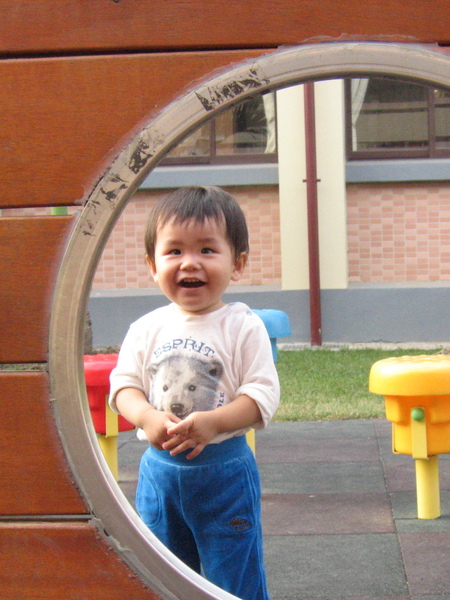 1Y4M