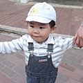 1Y8M20D