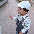 1Y8M20D