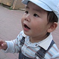 1Y8M20D
