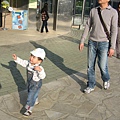 1Y8M20D