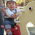 1Y8M20D